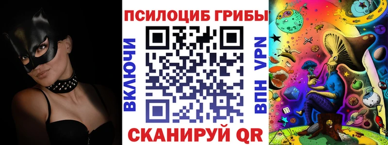 Псилоцибиновые грибы мухоморы  Стерлитамак 