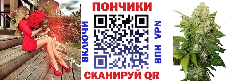 где купить наркотик  Стерлитамак  Шишки марихуана планчик 